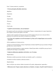 Sistema endocrino y reproductor