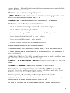 Documento73834 73834