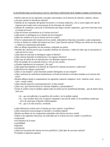 Sitema nervioso