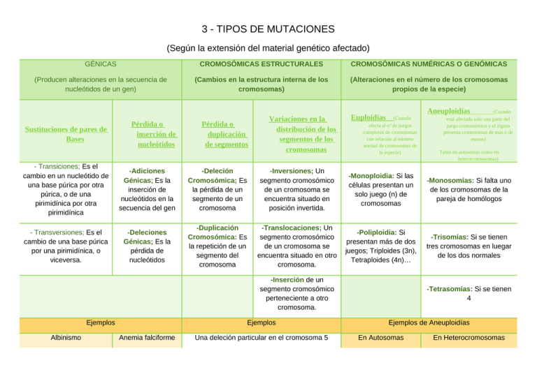 Tipos De Mutaciones