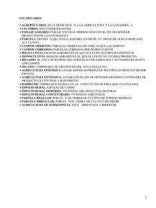 Vocabulario para ciencias sociales