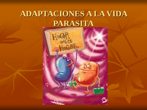 Adaptaciones a la vida parásita
