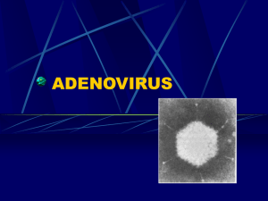 Adenovirus