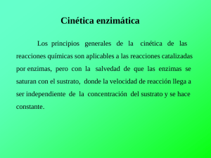 Cinética enzimática