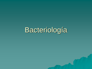 Bacteriología
