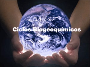Ciclos Biogeoquímicos