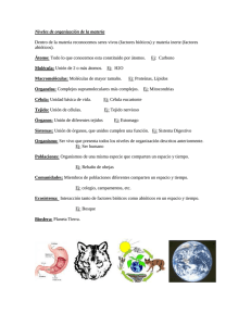 Conceptos de Niveles de organización de la Materia