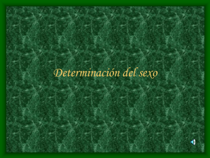Determinación del sexo