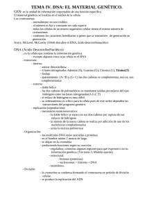 Material genético