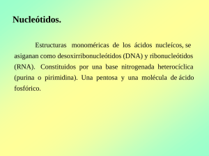 Nucleótidos