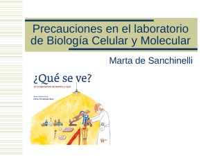Precauciones en el laboratorio
