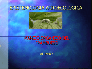 Tratamiento orgánico del frambueso