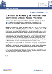09-06-15 El General de Castelló y el Provincial crean una Comisión