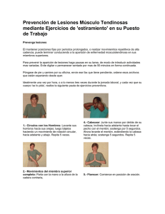 Prevención de lesiones músculo tendinosas mediante stretching