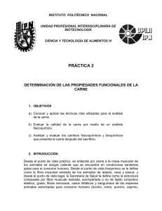 INSTITUTO  POLITÉCNICO  NACIONAL UNIDAD PROFESIONAL INTERDISCIPLINARIA DE BIOTECNOLOGÍA