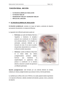 Guía Función Renal - Colegio Santa Cecilia