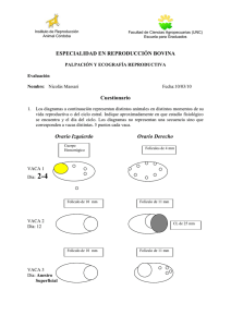 Documento149811 149811
