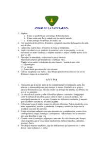 6 Amigo De La Naturaleza