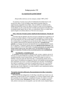 La organización genital infantil