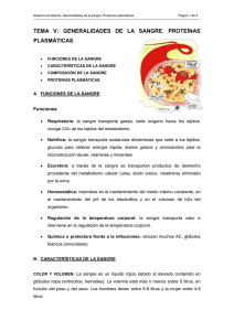 TEMA V: GENERALIDADES DE LA SANGRE