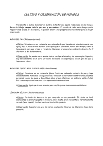 CULTIVO Y OBSERVACIÓN DE HONGOS