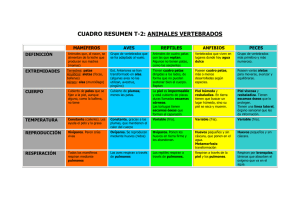 Tabla Resumen: Animales Vertebrados (Mamíferos, Aves, Reptiles...)