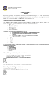 Prue_Ensayo_04_11_4M_DptoB