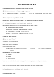 ACTIVIDADES SOBRE LAS PLANTAS