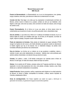 “Moravia florece para la vida”
