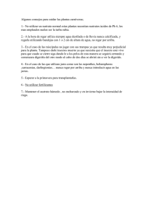 Algunos consejos para cuidar las plantas carnívoras