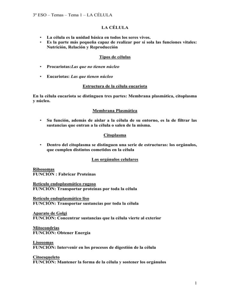 3º ESO – Temas – Tema 1 – LA CÉLULA