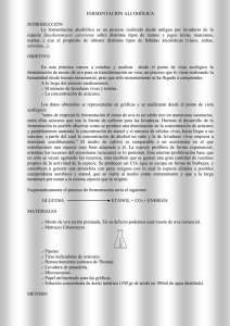 FERMENTACIÓN ALCOHÓLICA  INTRODUCCIÓN