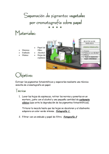 Cromatografía de Pigmentos Vegetales: Protocolo de Laboratorio