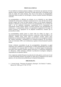 PROSTAGLANDINAS