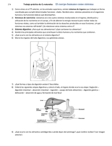 Cuerpo Humano como Sistema: Trabajo Práctico de Cs Naturales