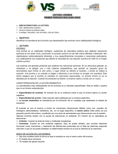 LECTURA - ENZIMAS PRIMER PERIODO BIOLOGÍA ONCE