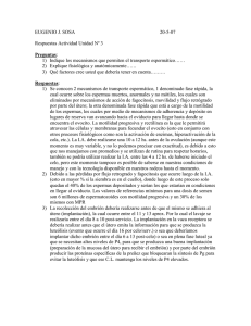 Respuestas Actividad Unidad Nº 3