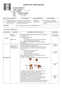 Sistema Excretor: Guía de Aprendizaje para 4to Grado