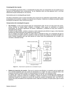 Cromatografía Gas-Líquido: - U