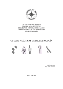 guía práctica.
