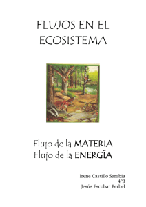FLUJOS EN EL ECOSISTEMA
