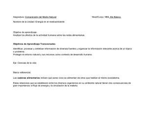Planificacion naturaleza 15 y 16 (527872)