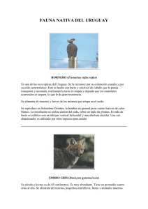 FAUNA NATIVA DEL URUGUAY