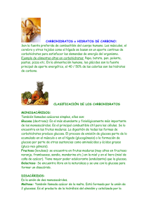 CARBOHIDRATOS o HIDRATOS DE CARBONO: