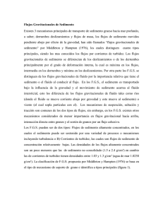 FLUJOS GRAVITACIONALES DE SEDIMENTOS
