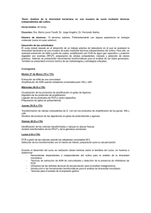 Reactivos necesarios: