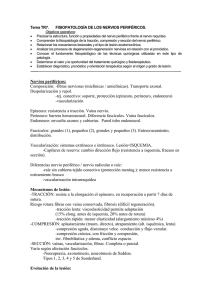 Tema TR7
