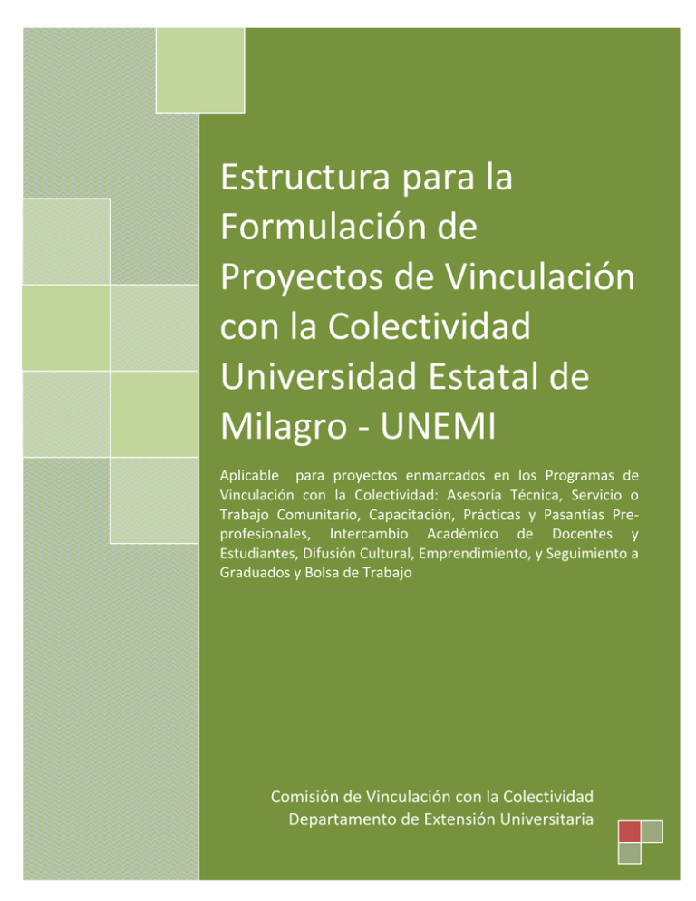 Estructura Para La Formulación De Proyectos De Vinculación 9947