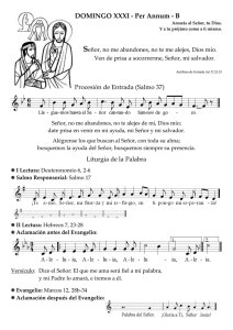 S DOMINGO XXXI - Per Annum - B