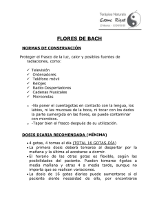 FLORES DE BACH